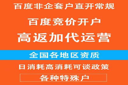 百度推广公司案例研究：揭秘企业快速崛起的秘密